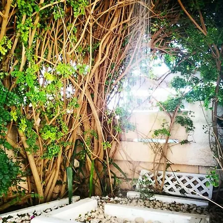 招待所 Lu Salentu 托雷拉皮罗